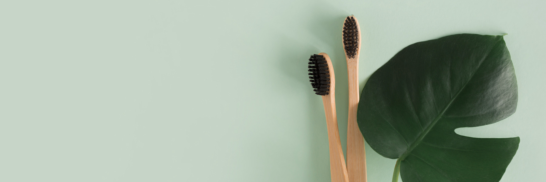 Cleanings and Exams | Dentist